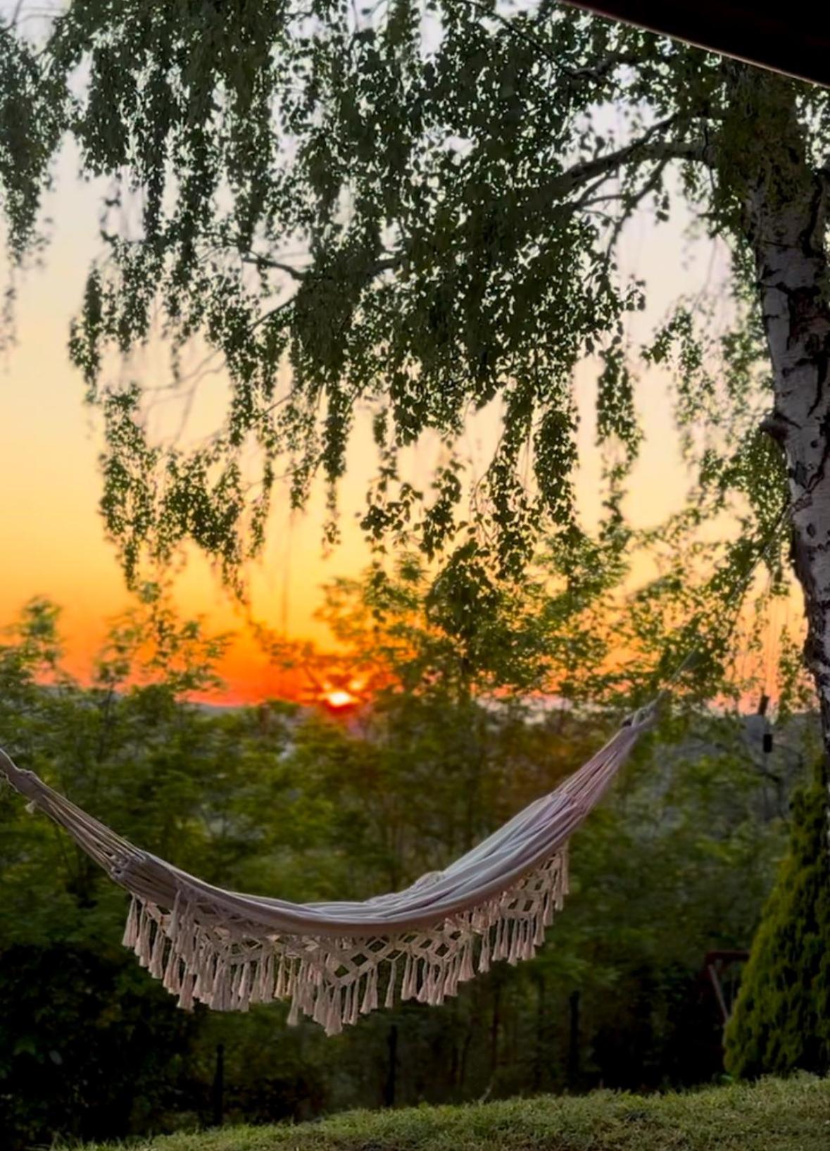 Kuca Na Dan Sa Bazenom Hedonist Place Zaklopaca  Exteriér fotografie